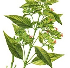 ��˿�ߵĹ�Ч������