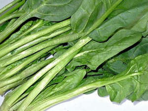 Ҫ���β�ǿ�� �ճ��������ʳ��