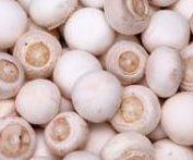 ������ަ�Ĺ�Ч������