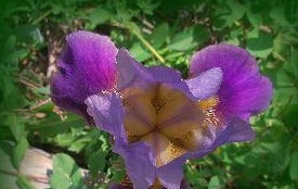 �����ݵĹ�Ч������