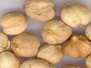 ��ޢ�ǵĹ�Ч������