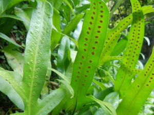 ��������ާ�Ĺ�Ч������