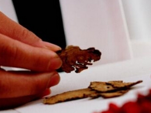 ��������֢��ƫ��