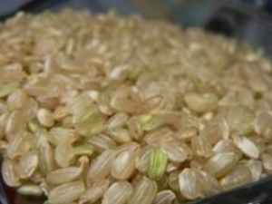 ��������Ѫʳ��ƫ��