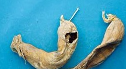 �����õĹ�Ч������