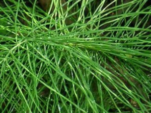 ���ʾ��Ĺ�Ч������