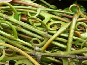 ���ٸ��Ĺ�Ч������