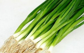 ����Ĺ�Ч������