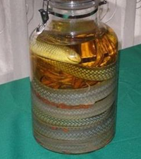 ����ҩ��ʱӦע�������