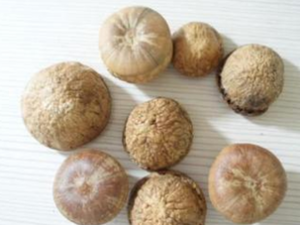 ��ҩ���� ����f��