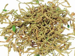 ��ҩ���� �������