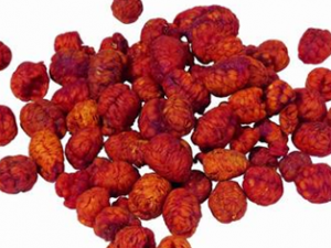 ��ҽ���� ������