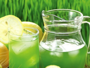 ����Щʳ�������ʧ��