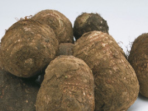 ������˯�ߵ�ʳ��