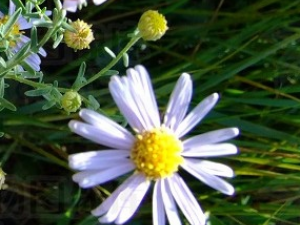 ���޻��Ĺ�Ч������