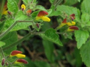 �ڴ����Ĺ�Ч������