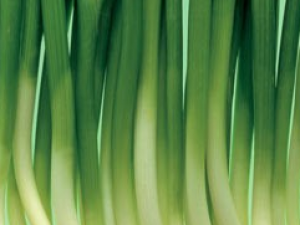 ��е�ʳ��Ӫ����ֵ