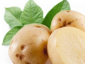 �����ܳԳ����Ը�