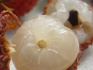 ����Ů�����ݵ����ʳ��