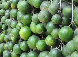 �ΰ���Сƫ��