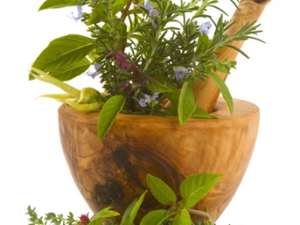 ���Ʊ�Ӹ�鷽