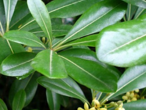 �컨���Ʋ�Ĺ�Ч������