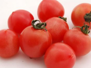 ���������ӻ�˥����