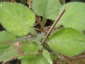 �������˵Ĺ�Ч������