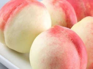 �����ӿ��Ի���ʹ����