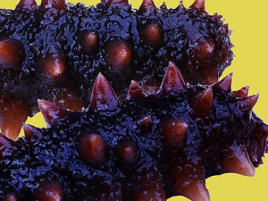 ��������������