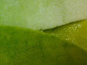 ��Ƥ����������