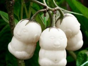 �˲ι��Ĺ�Ч������