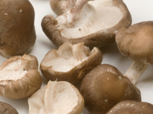 �ѳ�������ʲô