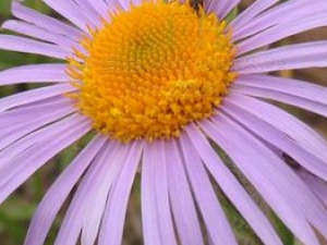 �����ҵĹ�Ч������