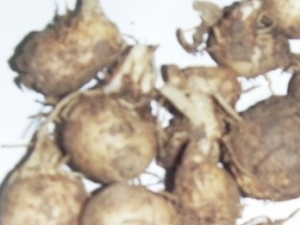 �����ĵĹ�Ч������