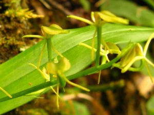 �����ҵĹ�Ч������