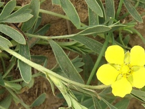 ����Ҷί��˵Ĺ�Ч������