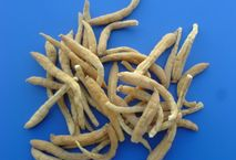 �����εĹ�Ч������