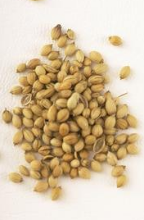 ��Μp����ҩ�Ķ�������