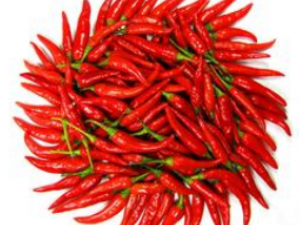 ��Ѫ�ܼ�������̰���������