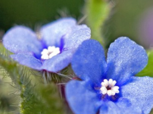 �ܹ��ݵĹ�Ч������