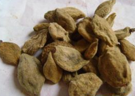 �˽��������-����ɢ