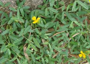 ����ݵĹ�Ч������