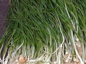 �����ӵĹ�Ч������