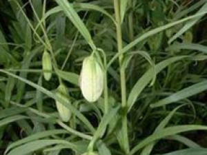 С������������