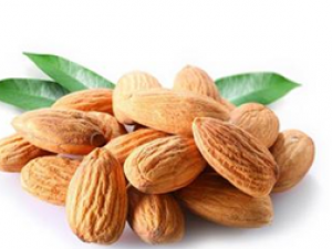 ֹ��ƽ��ѡ����