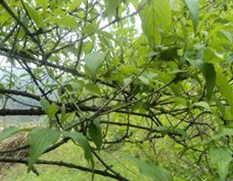 ����������������ʹ