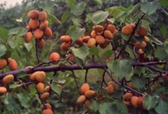 �칫��һ��Ҫ���ˮ