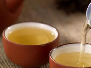 �������̶���ⶾ����������