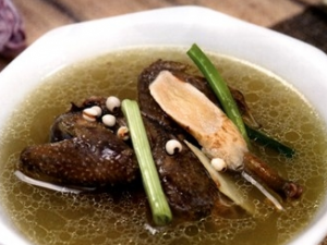 ���Ĳ���ʳ��ҩ��